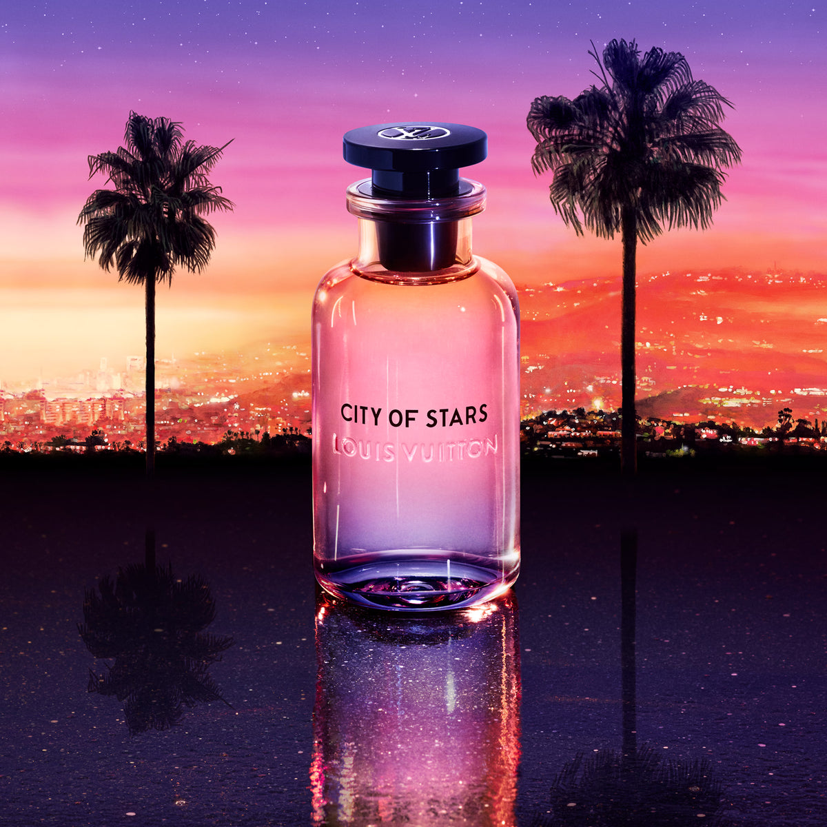 Louis Vuitton City of Stars (Sample)